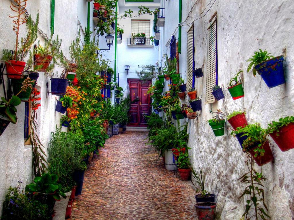 Appartement El Patio Dona Julia à Casares Extérieur photo